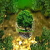 КГКУ «Дирекция по ООПТ» поздравляет с Днем эколога и Всемирным днем охраны окружающей среды!